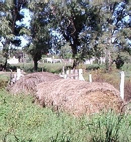 Los rollos pudieron ser controlados por las dos dotaciones.