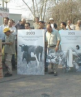 Una imagen que va siendo repetida: tamberos de protesta (Lechería Latina).