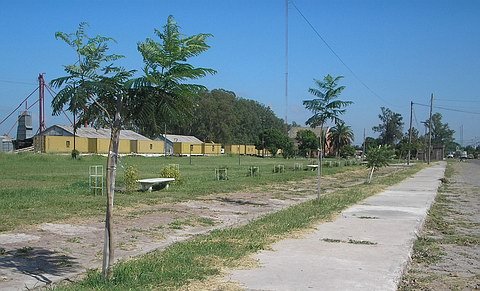 Los árboles con tutores y una situación solucionada.