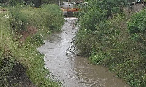 El canal Norte en su estado hoy por la tarde.