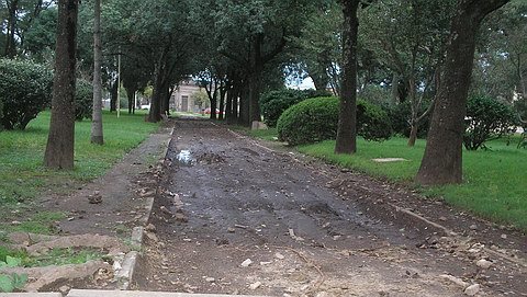 Otra imagen de cómo están las labores al día de hoy, complicadas por las precipitaciones.