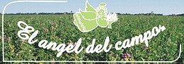 El comercio suma ya doce años y otra prestigiosa marca.