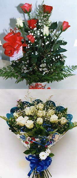 Dos ramos diferentes, igualmente vistosos.