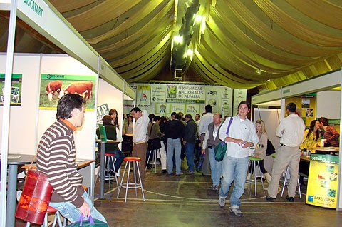La exposición paralela de empresas, en cómodos stands, fue otro de los atractivos.