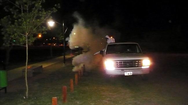 Las tareas, en plena acción. Las labores se extendieron en la madrugada (Foto: Prensa municipalidad).