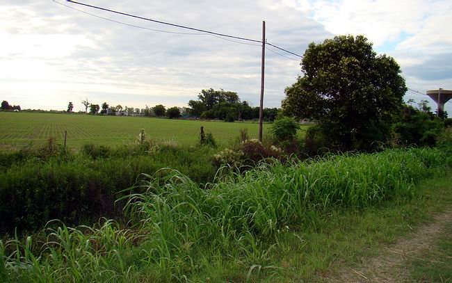 El paso ha sido por demás importante para lograr poner estas tierras a disposición de la comunidad.