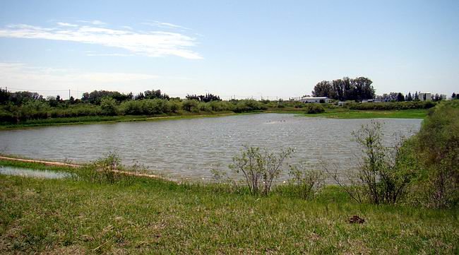 La laguna de captación de la cooperativa local. El dinero dará tranquilidad por algunos años en cuanto a prestación de servicio.