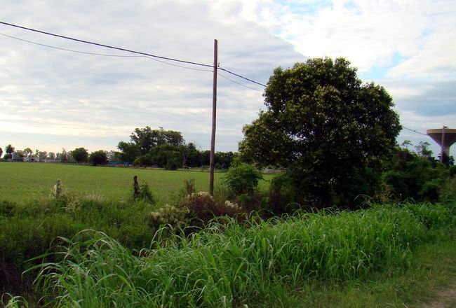 La búsqueda de terrenos y viviendas es una constante al día de hoy.