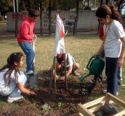 Los chicos, plantando un árbol. Los chicos, plantando un árbol.