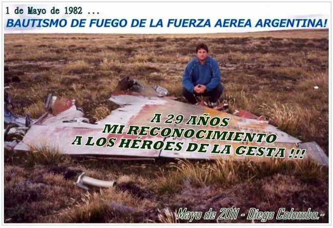 Restos del avión perteneciente a Gavazzi, en las Islas Malvinas (Foto: Diego Colombo).