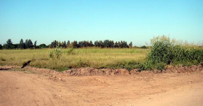 Los terrenos pronto comenzarán a mostrar las primeras construcciones (Archivo).