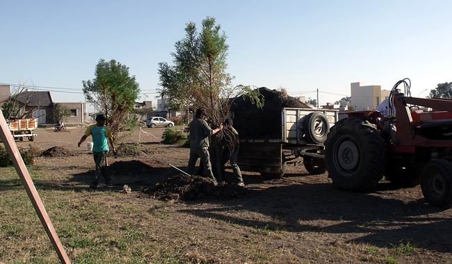 Las máquinas, trabajando en el lugar.