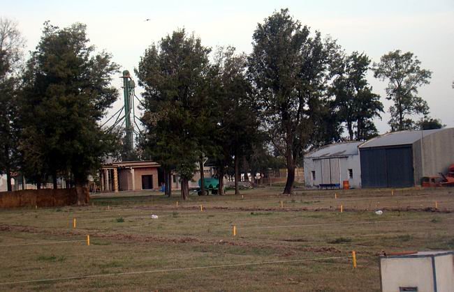 Las tareas comienzan a notarse en el predio de la Ganadera.