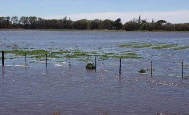 campos-inundados