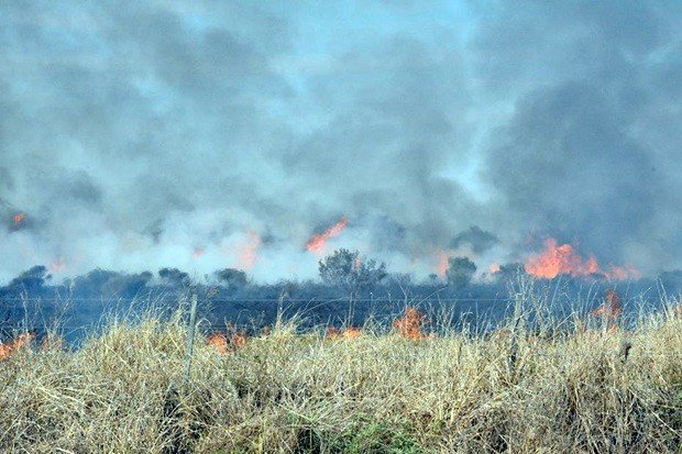 El incendio tuvo una amplia dimensión en los campos de la zona (Foto: Facebook Daniel Ponce).