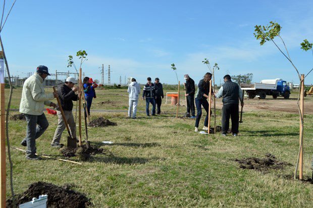 Plantacion 02